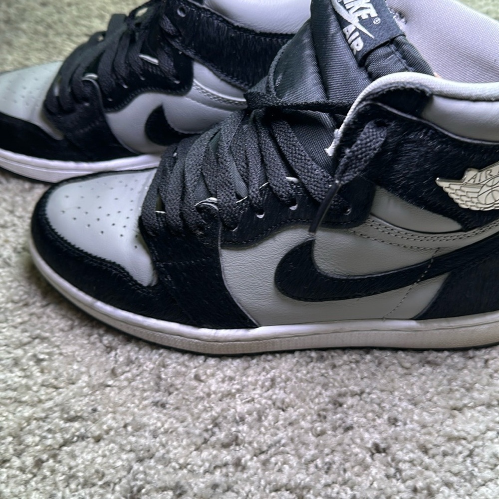 Air Jordan 1 Retro